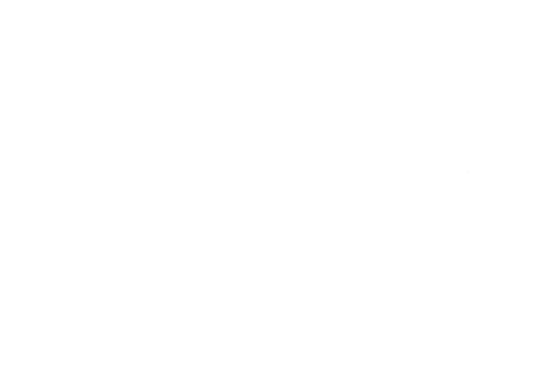 logo_trans_white